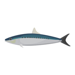 Vector illustration of sardine on a white background.