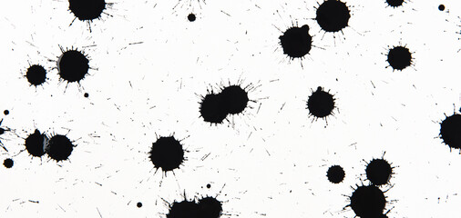 black ink splatter on white background,Paint brush strokes and drops texture.