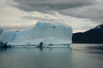 Iceberg flotando en el Lago Argentino, Patagonia Argentina