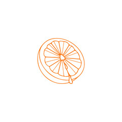 vector illustration of orange fruit