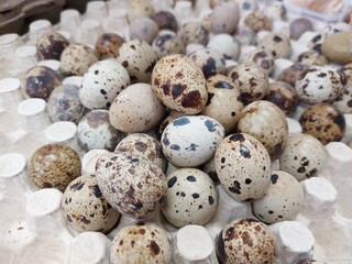 Obraz premium Quail Eggs on egg board for sale at market with flat lay top view