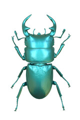 stag beetle Lucanus cervus male isolated. PNG transparency.