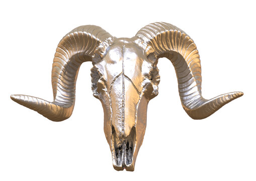 Skull of sheep isolated. PNG transparency	
