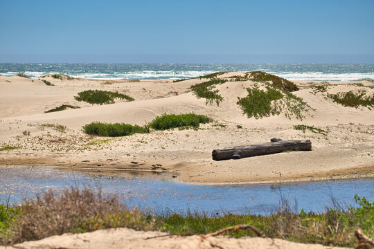 Small Sand Dunes and a Log by the Pacific Ocean at Beach Foot Trail in Pismo Beach, California