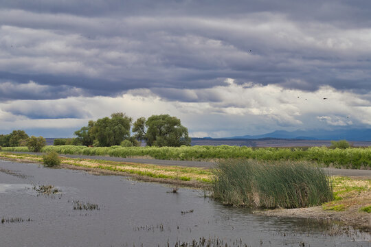 The Incredible Ecosystem of Lower Klamath Nature Preserve