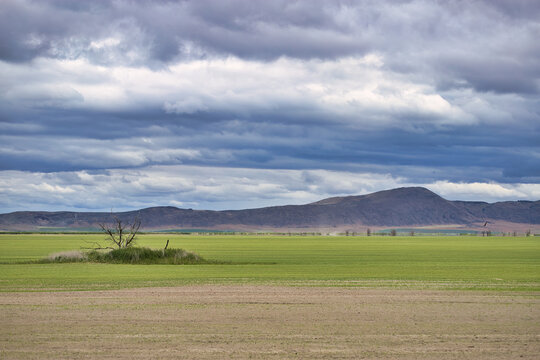 The Incredible Ecosystem of Lower Klamath Nature Preserve