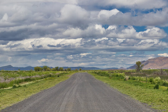 Gravel Road Through the Lower Klamath Nature Preserve