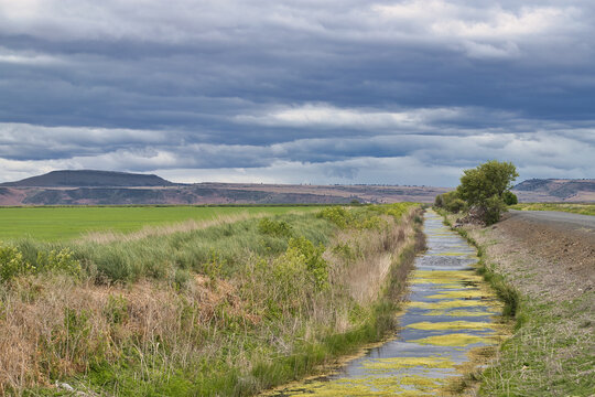 The Incredible Ecosystem of Lower Klamath Nature Preserve
