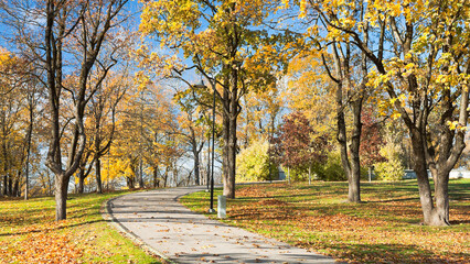 Fototapeta na wymiar Walking path in the autumn park