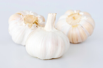 Plakat Garlic bulbs.