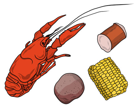 Cajun Crawfish Boil Vector Illustration