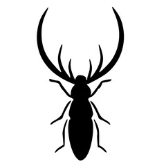black and white of beetle