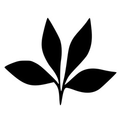 vector illustration of leaf shape icon