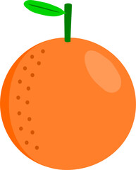 illustration of an orange fruit