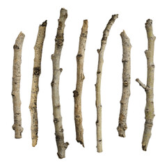Dry sticks isolated without shadows on transparent background scene creator