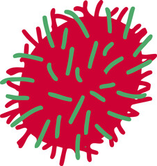 Fototapeta premium Rambutan Fruit Flat Illustration