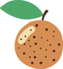 Longan Fruit Flat Illustration