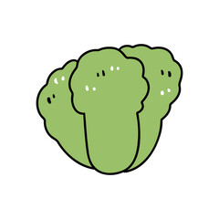 cabbage