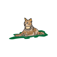 cat relaxing illustration color vector design