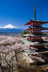 忠霊塔と桜と富士山