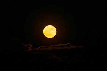 Rise of the orange moon, also known as the harvest moon or the hunter’s moon, over the night sky...