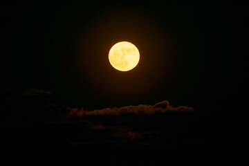 Rise of the orange moon, also known as the harvest moon or the hunter’s moon, over the night sky...