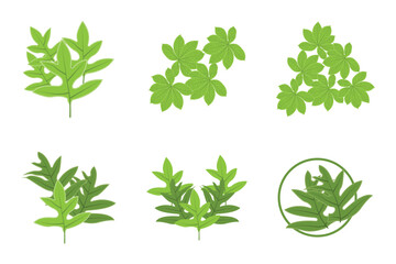 Leaf Lines logo design, Background Icons Artwork Artwork Colors pAstel