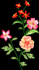 flowers backgrounds border any many more download and keep enjoy