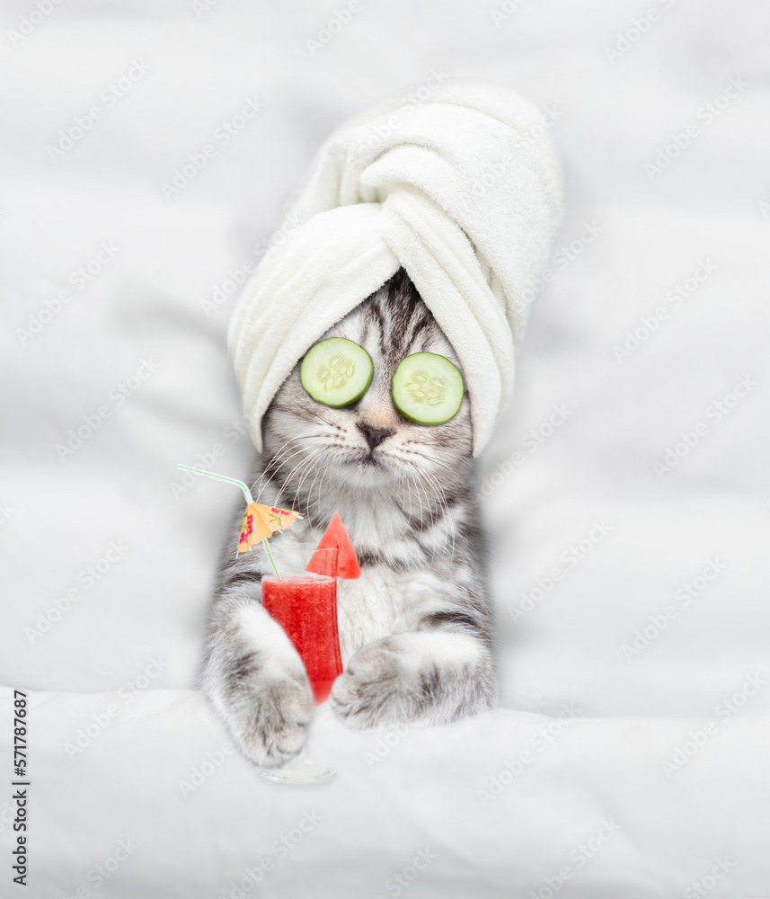 Fototapete cute kitten with towel on it head and with a pieces of cucumber on it eyes relaxing on the bed with 