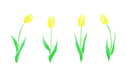 ４本の黄色いチューリップのイラスト（輪郭線：ペン）