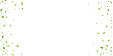 Leaves Green Falling Flying Foliage Leaf Tea Mint