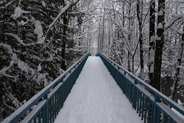 A metal bridge with blue painted rails