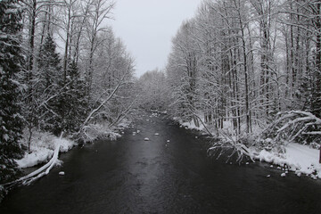 A river surrounded by snow