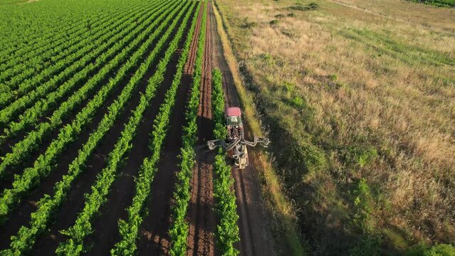 Tractor Spraying Pesticides, Aerial View of Vineyard in Countryside of France, Drone Shot, glyphosate, parkinson