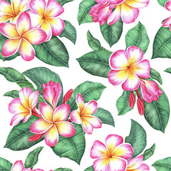 Pink-yellow plumeria seamless pattern. Frangipani flower with leaves.Watercolor illustration.Isolated on a white background.For the design of wrapping paper, fabric, women's clothing, notepad, napkin