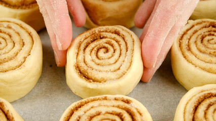 Chef putting put the raw bun on the baking paper. Cooking cinnamon rolls or Cinnabon close up