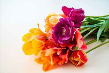 Naklejka na ściany i meble nice tulips in the vase