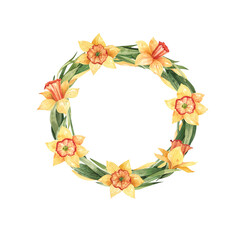 Floral wreath with yellow daffodils watercolor illustration isolated on white background. Round floral frame.