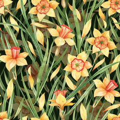 Bright, floral pattern with daffodils on a dark background. Watercolor illustration pattern for fabrics, textiles, wallpapers