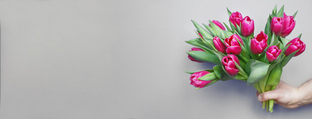 mans hand holding bouquet of fresh flowers tulips on gray background.