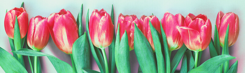 Pink fresh flowers tulips background with copy space. Romantic composition. Flat lay, top view.