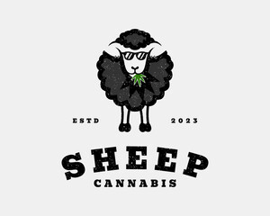 Vintage Retro Sheep Lamb Cattle Livestock Stylish Domestic Animal Hemp Cannabis Vector Logo Design