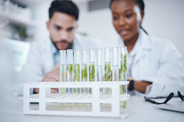 Plant samples, science test tubes and lab workers in a agriculture facility doing research. Laboratory teamwork, ecology innovation and sustainable growth study with scientists working with leaf