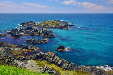 Fototapeta premium 礼文島ハイキング 岬めぐり