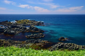 礼文島ハイキング　岬めぐり