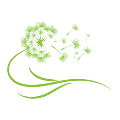 Dandelion flower logo vector and symbol template