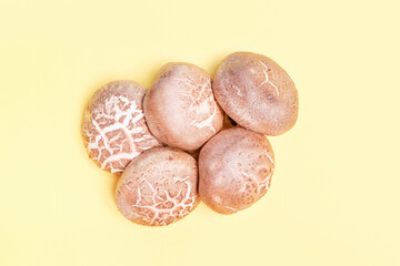 Shiitake mushrooms on yellow background close-up, top view.