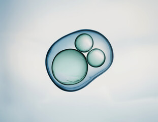 Cells division process, Cell divides into two cells