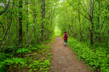 Walk in the woods, Valdez, Alaska