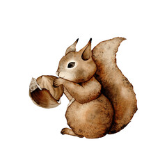 Squirrels and hazelnuts clipart, cute animal character illustration for children. Funny adorable squirrel and nuts cartoon for kids. Isolated clipart.